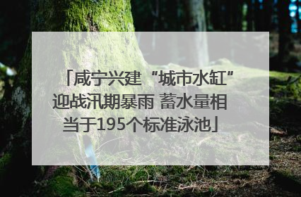 咸宁兴建“城市水缸”迎战汛期暴雨 蓄水量相当于195个标准泳池